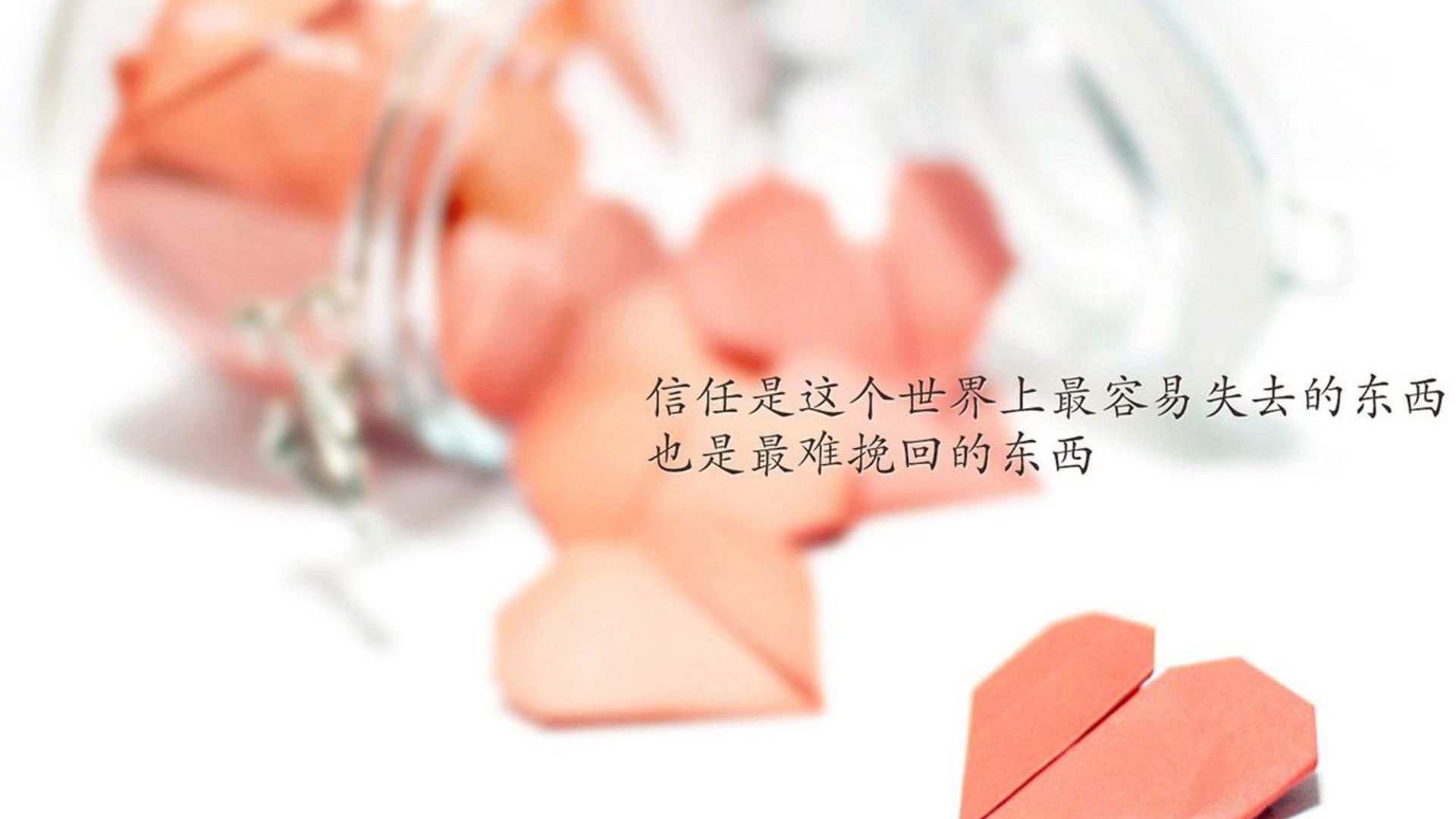 _城市绿道骑行节:环保出行的风尚之旅_,绿道骑自行车作文 美篇