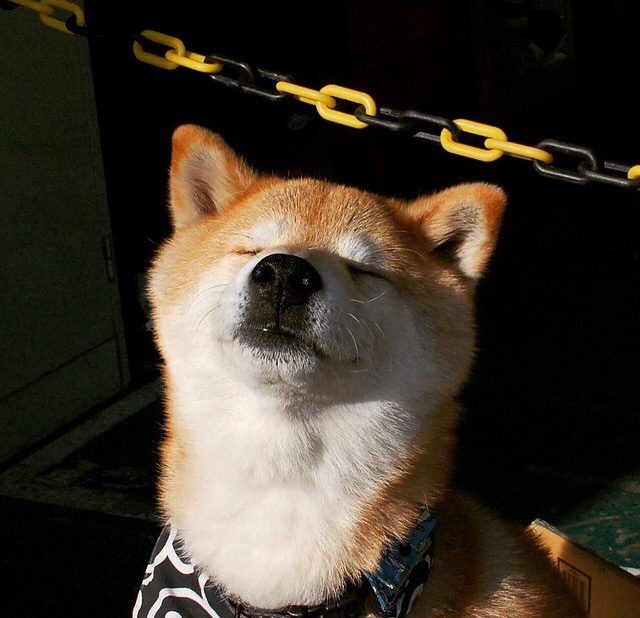 《世界级主播阵容：带你看尽比赛精彩瞬间》，世界主播排名