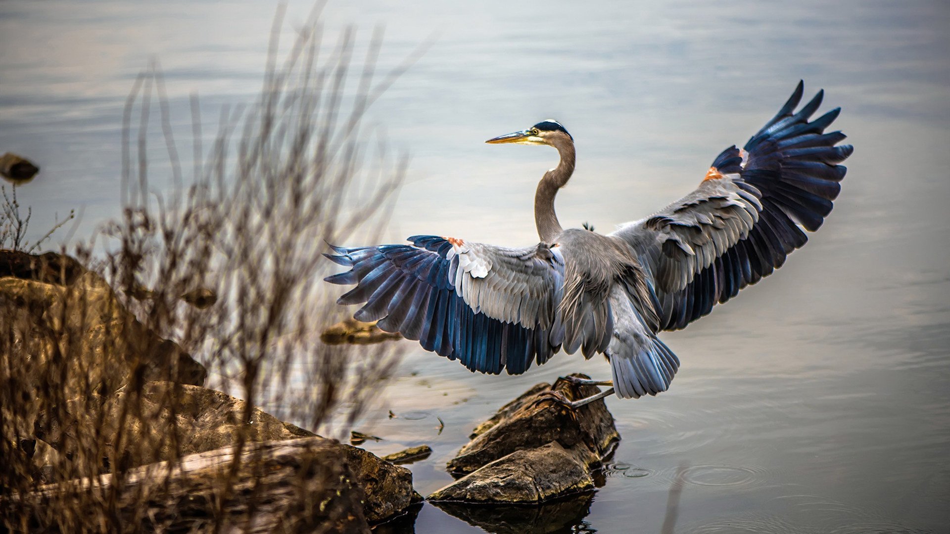 小组赛激战正酣:不可错过的精彩比赛分析,小组赛比赛顺序