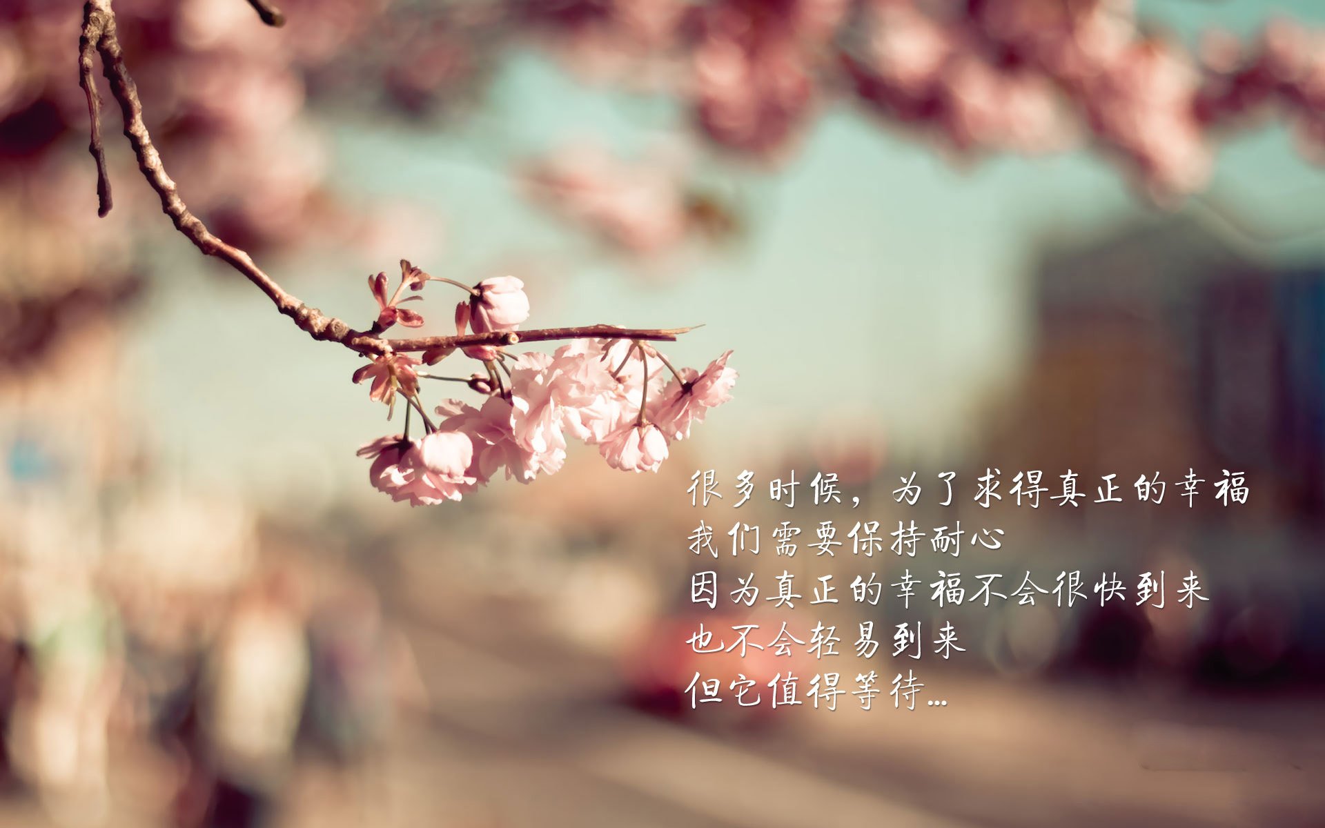 _绿军加时逆袭,塔图姆斩获35分_,5年1.95亿!塔图姆与绿军提前续约