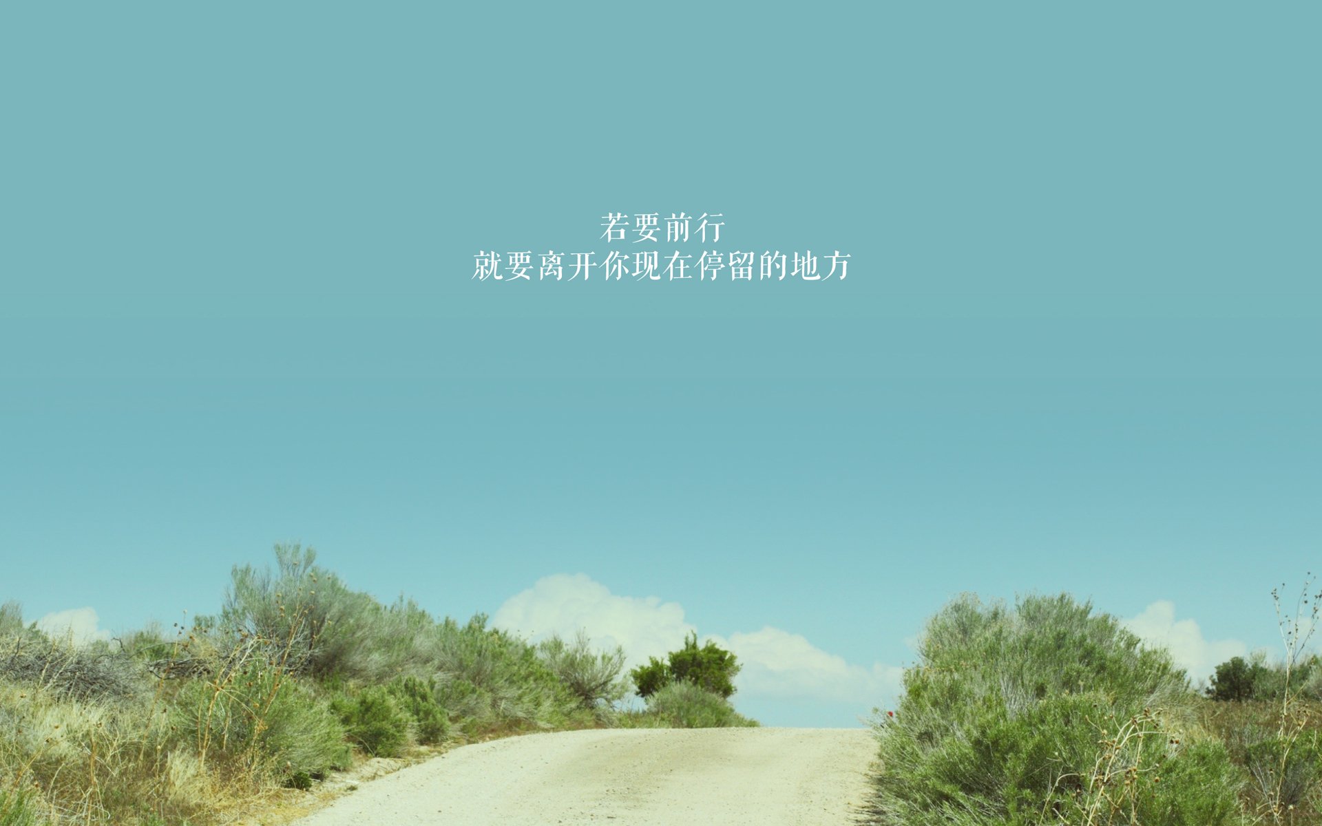 Kaiyun官方登录入口-凯尔特人推出“球迷意见议会”，直接影响场馆决策，凯尔特人球迷头像